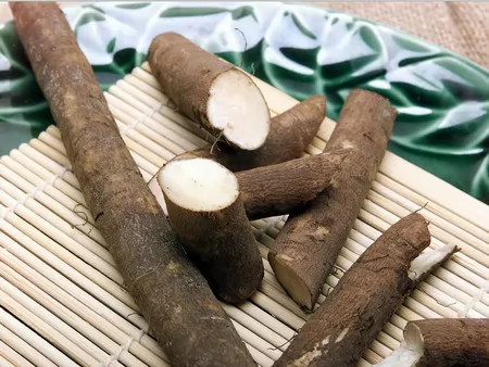 корень лопуха